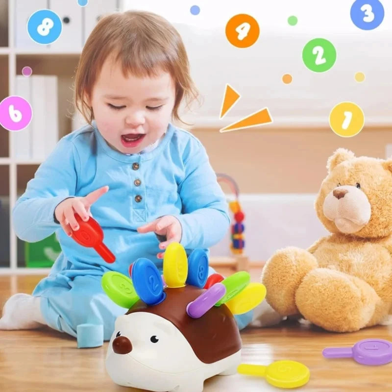 Sensory Hedgehog Toys Toddler Montessori Fine Motor Toys Baby Preschooler Educational Sensory Travel Toys for Age 1 2 3 4 Year